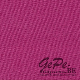 Fuchsia (1,65 m)
